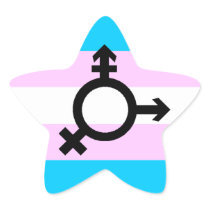 Trans Pride stickers - stars, with symbol