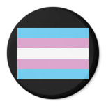 Transexual Pride Flag Fridge Magnets