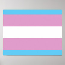 Transexual Pride Posters