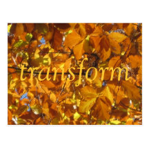 Transform Post Cards