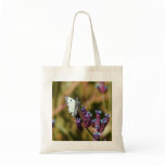 Transformation bags