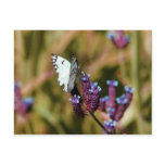 Transformation postcards