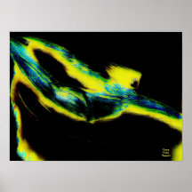 Transformation Poster