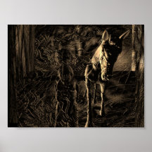 Transformation Posters