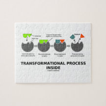 Transformational Process Inside Induced-Fit Model Puzzles
