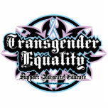 Transgender Equality Tribal photo sculptures