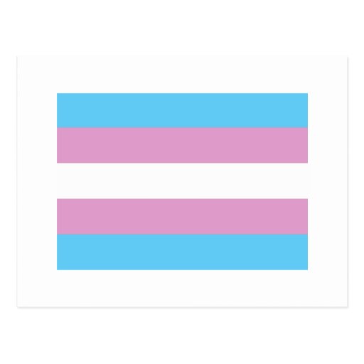 Transgender Pride Flag Post Card