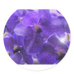 transparency stickers