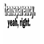 transparency t-shirt