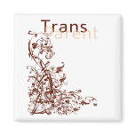 Transparent magnets
