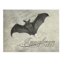 Transylvania 1897 Bat Collage Post Card Halloween