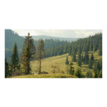 Transylvania photo cards