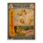 Trapeze artists Barnum & Bailey 1896 Post Cards