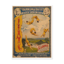 Trapeze artists Barnum & Bailey 1896