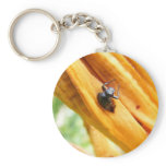 Trapped ~ keychain