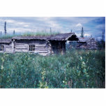 Trapper Cabin Along the Banks of the Coleen River photo sculptures