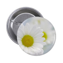 Träumen mit Natur Wellness Bildern Buttons