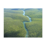 Travel collecting postcard 5