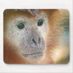 Treacle coloured monkey mousepads