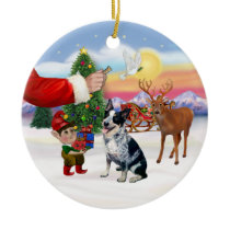 Treat for a Australian Cattle Dog Christmas Ornaments