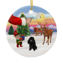 Treat for a Black Poodle (Toy) Ornaments