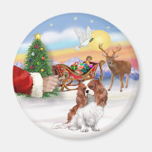 Treat for a Blenheim Cavalier Magnet