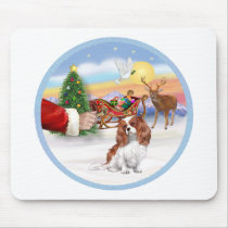 Treat for a Blenheim Cavalier Mouse Pad