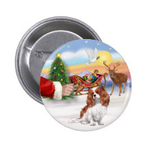 Treat for a Blenheim Cavalier Pinback Button