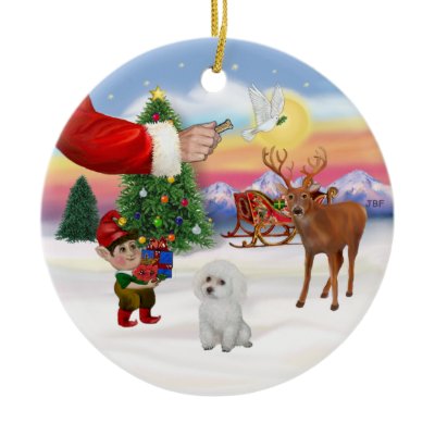 Treat for a White Poodle (Toy) Ornament