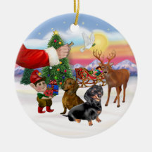 Treat for Two Dachshunds Ornaments