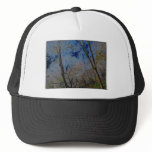 tree-6 mesh hat