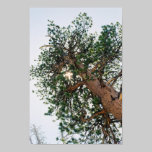 tree a glow posters