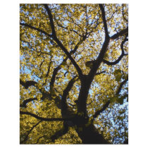 Tree against blue sky. personalized flyer