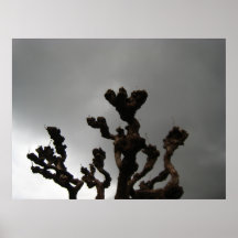 Tree and clouds poster