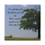 Tree and Sky Magnet