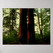 Tree Art Posters