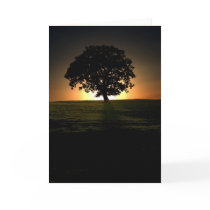 Tree at Sunset. Card by cARTerART.