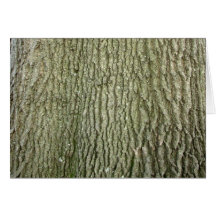 Tree Bark Blank Note Card