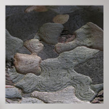 Tree Bark macro photography Poster