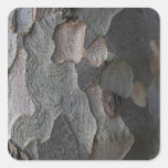 Tree Bark macro photography Square Stickers