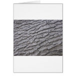 Tree Bark Pattern Greeting Card