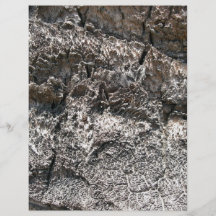 Tree bark patterns detailed view flyer