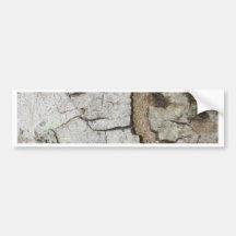 Tree bark texture bumper sticker
