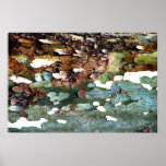 Tree Bark Texture Print