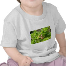 Tree Blooms - Vaccinium Cylindraceum Shirt