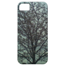 Tree Blossom iPhone 5 Cover