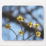 Tree Blossom Mousepad