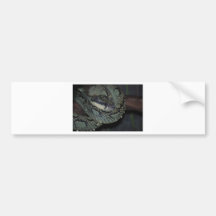 Tree Boa Bumper Stickers
