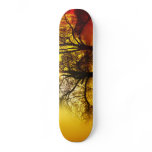 TREE BOARD SKATEBOARDS