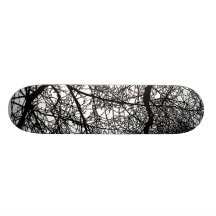 Tree Branches on White Skate Boards